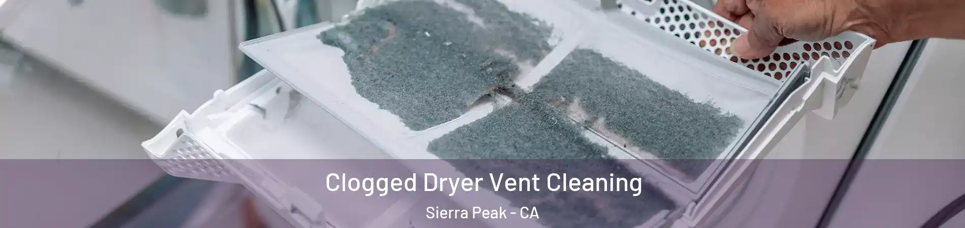 Clogged Dryer Vent Cleaning Sierra Peak - CA