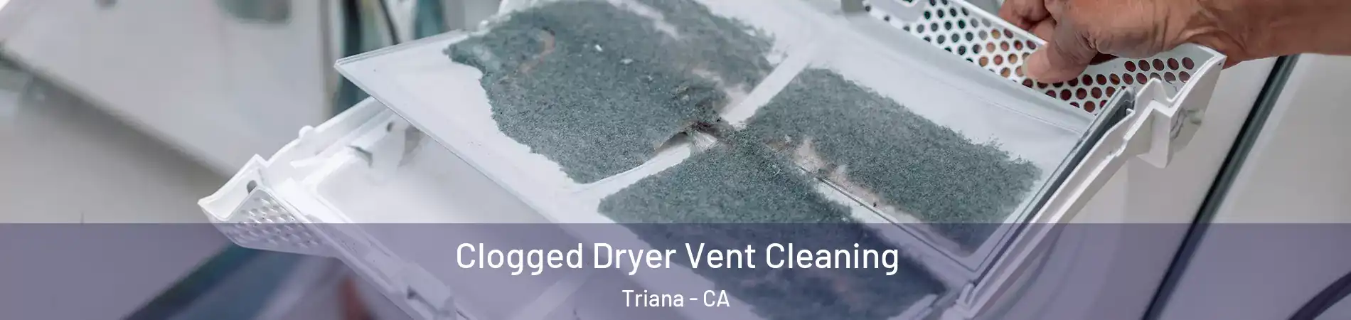 Clogged Dryer Vent Cleaning Triana - CA