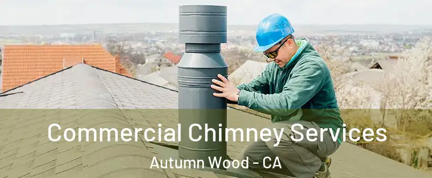 Commercial Chimney Services Autumn Wood - CA