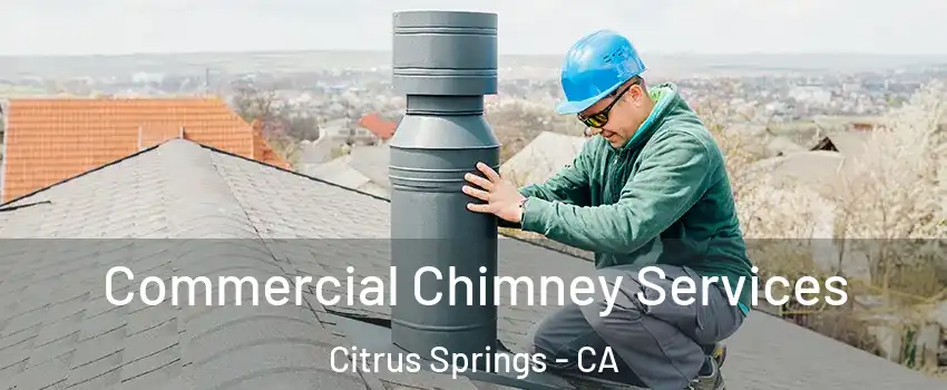 Commercial Chimney Services Citrus Springs - CA