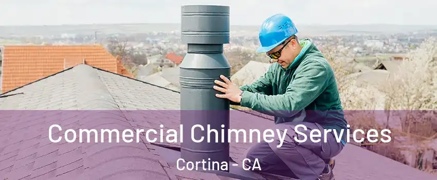 Commercial Chimney Services Cortina - CA