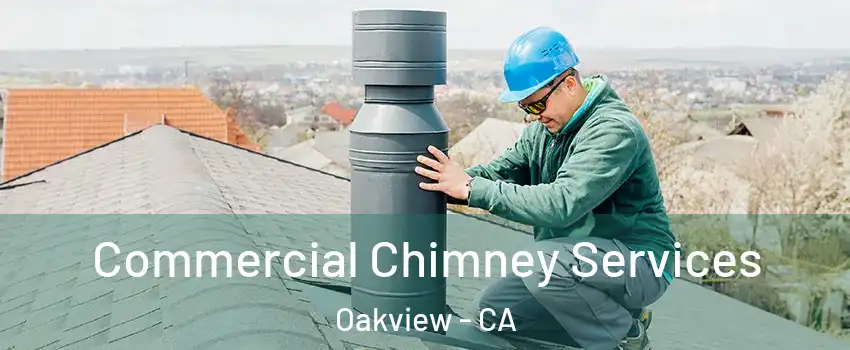Commercial Chimney Services Oakview - CA