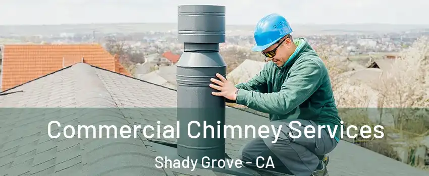 Commercial Chimney Services Shady Grove - CA