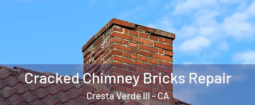 Cracked Chimney Bricks Repair Cresta Verde III - CA