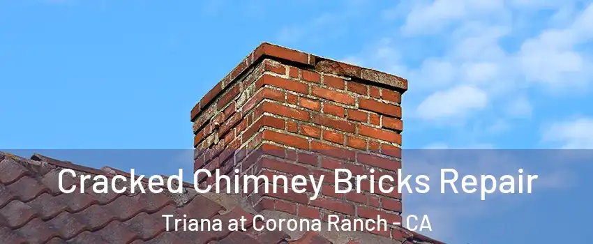Cracked Chimney Bricks Repair Triana at Corona Ranch - CA