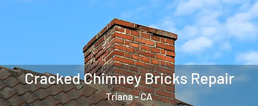 Cracked Chimney Bricks Repair Triana - CA