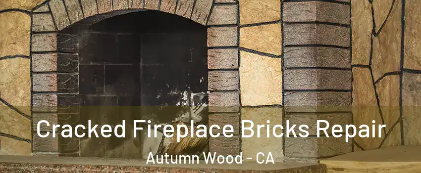 Cracked Fireplace Bricks Repair Autumn Wood - CA