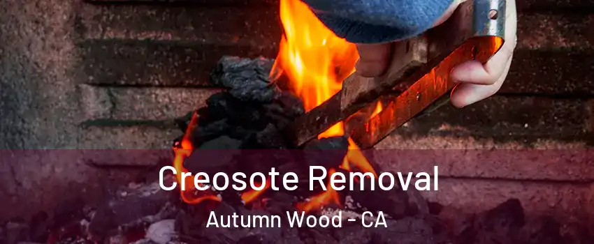 Creosote Removal Autumn Wood - CA