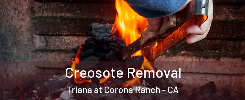 Creosote Removal Triana at Corona Ranch - CA
