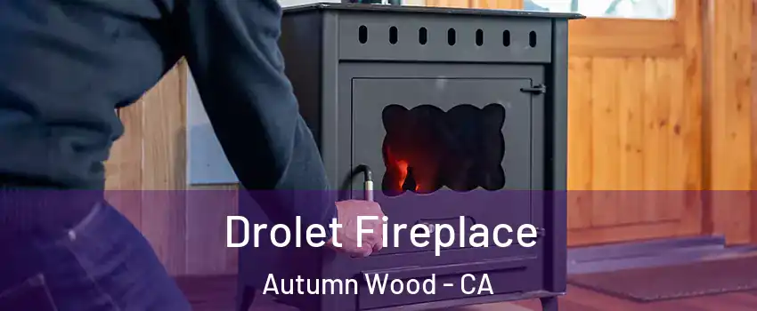 Drolet Fireplace Autumn Wood - CA