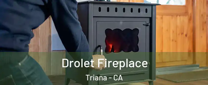 Drolet Fireplace Triana - CA