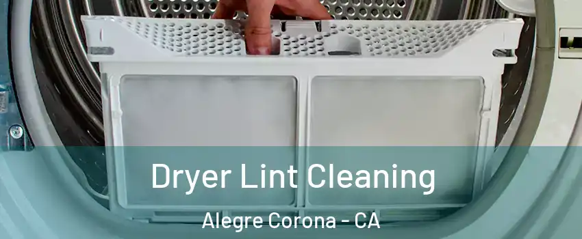 Dryer Lint Cleaning Alegre Corona - CA
