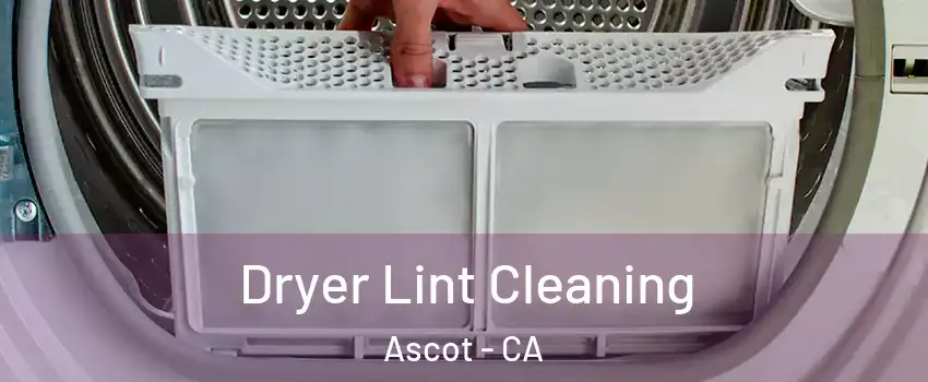 Dryer Lint Cleaning Ascot - CA