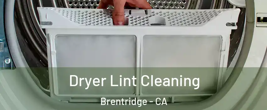 Dryer Lint Cleaning Brentridge - CA