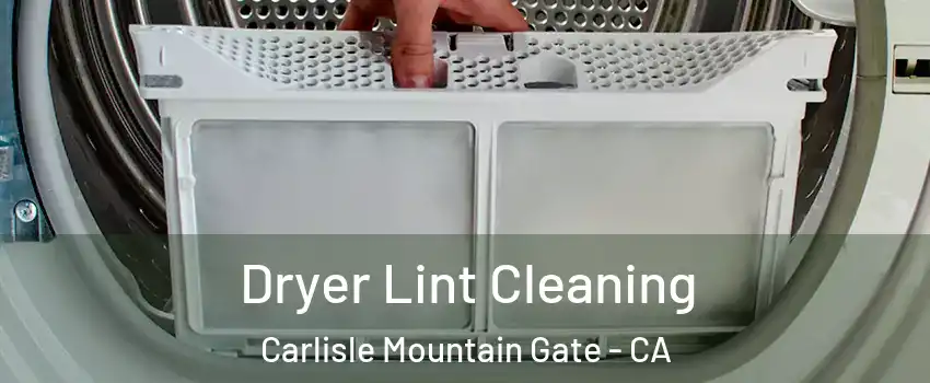 Dryer Lint Cleaning Carlisle Mountain Gate - CA