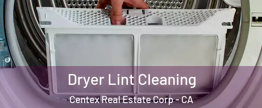 Dryer Lint Cleaning Centex Real Estate Corp - CA
