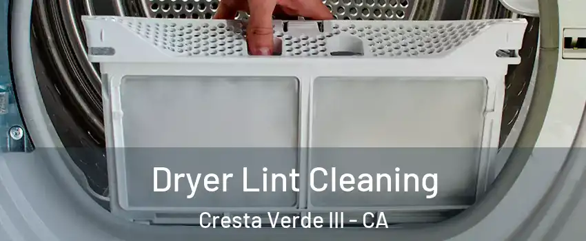 Dryer Lint Cleaning Cresta Verde III - CA