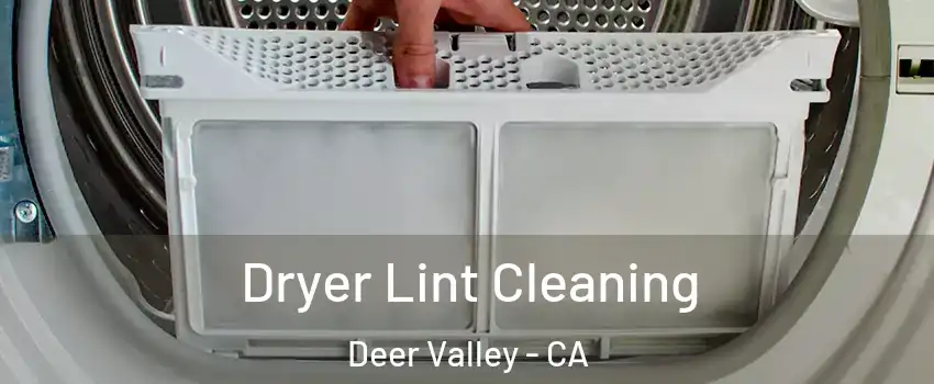 Dryer Lint Cleaning Deer Valley - CA