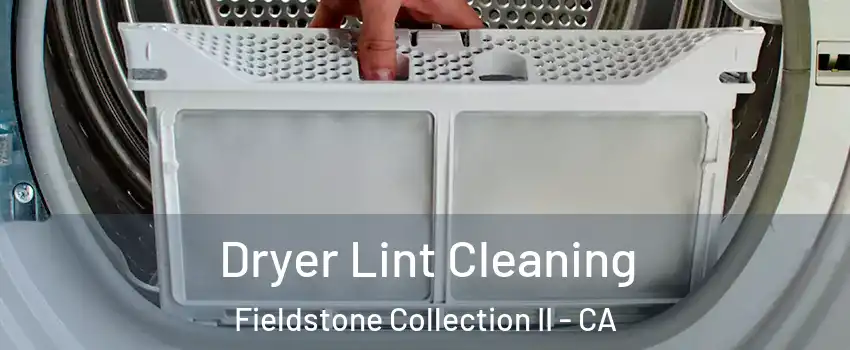 Dryer Lint Cleaning Fieldstone Collection II - CA