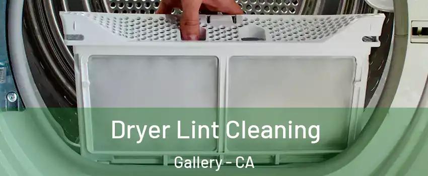 Dryer Lint Cleaning Gallery - CA