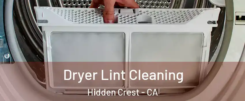 Dryer Lint Cleaning Hidden Crest - CA
