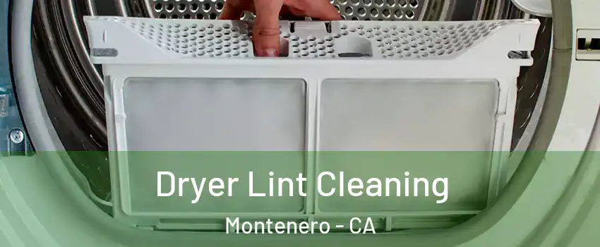 Dryer Lint Cleaning Montenero - CA