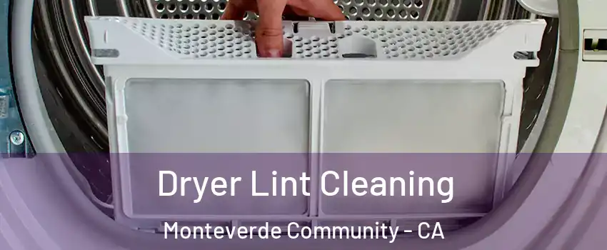 Dryer Lint Cleaning Monteverde Community - CA