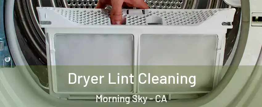 Dryer Lint Cleaning Morning Sky - CA
