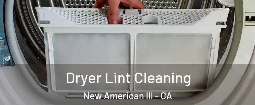 Dryer Lint Cleaning New American III - CA
