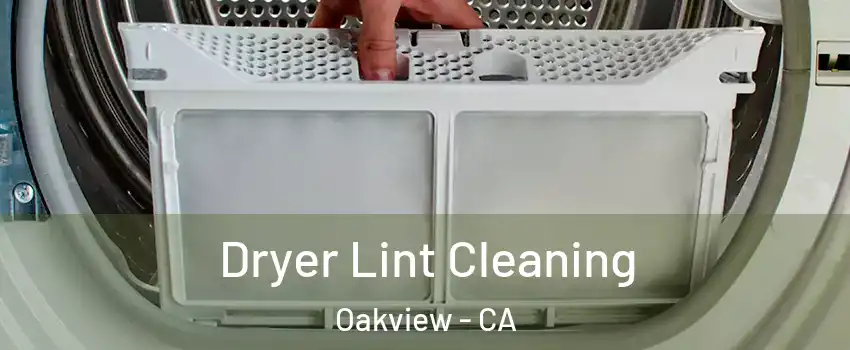 Dryer Lint Cleaning Oakview - CA