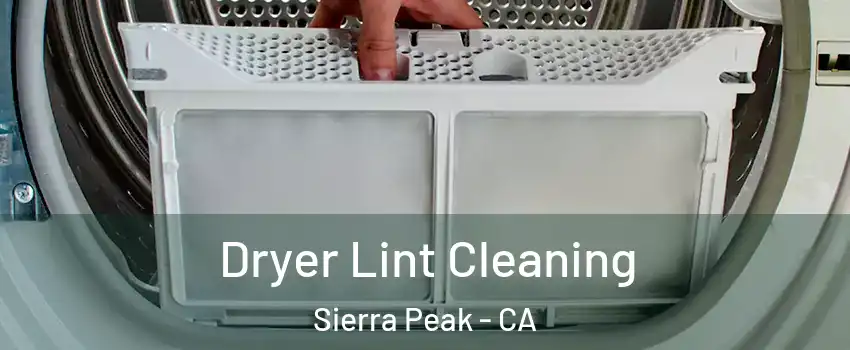 Dryer Lint Cleaning Sierra Peak - CA
