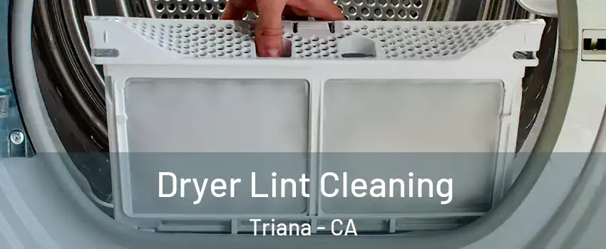 Dryer Lint Cleaning Triana - CA