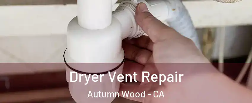 Dryer Vent Repair Autumn Wood - CA
