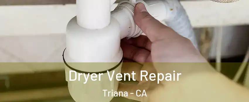 Dryer Vent Repair Triana - CA