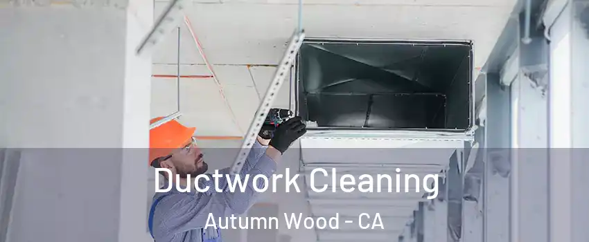 Ductwork Cleaning Autumn Wood - CA