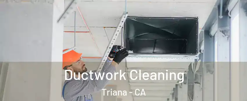 Ductwork Cleaning Triana - CA