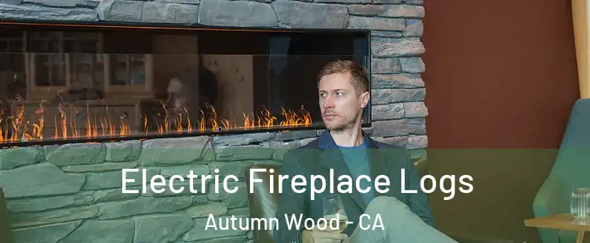 Electric Fireplace Logs Autumn Wood - CA