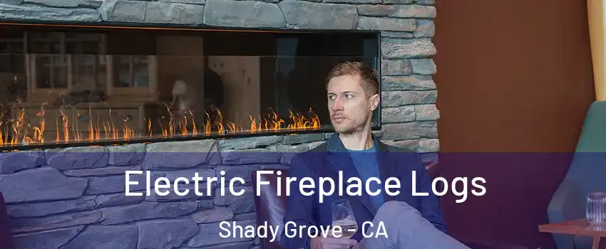Electric Fireplace Logs Shady Grove - CA