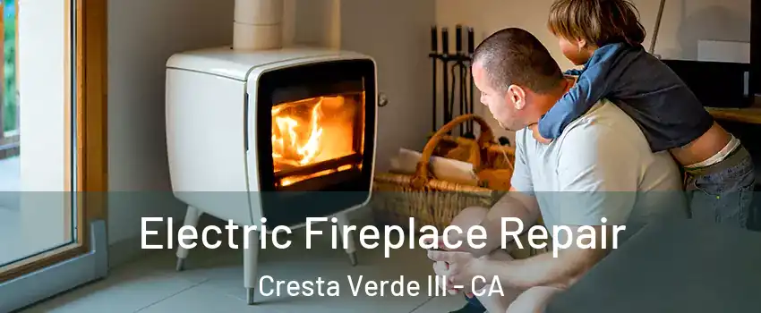 Electric Fireplace Repair Cresta Verde III - CA