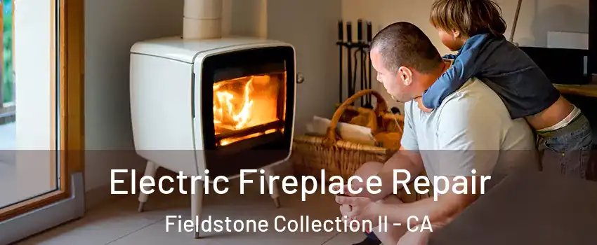 Electric Fireplace Repair Fieldstone Collection II - CA