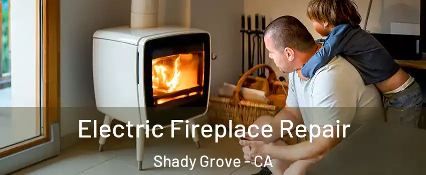 Electric Fireplace Repair Shady Grove - CA