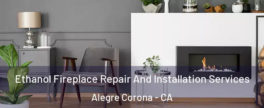 Ethanol Fireplace Repair And Installation Services Alegre Corona - CA