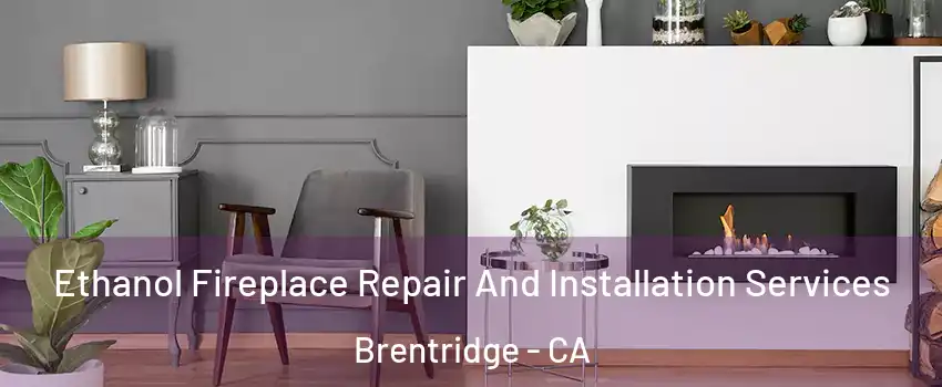 Ethanol Fireplace Repair And Installation Services Brentridge - CA