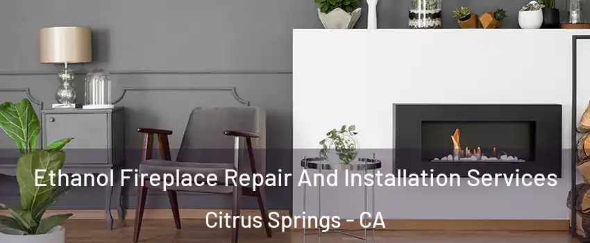 Ethanol Fireplace Repair And Installation Services Citrus Springs - CA