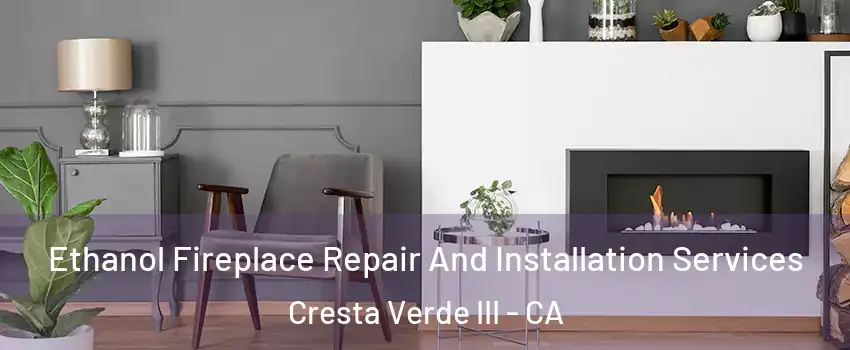Ethanol Fireplace Repair And Installation Services Cresta Verde III - CA