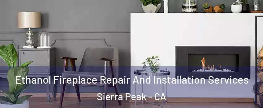 Ethanol Fireplace Repair And Installation Services Sierra Peak - CA
