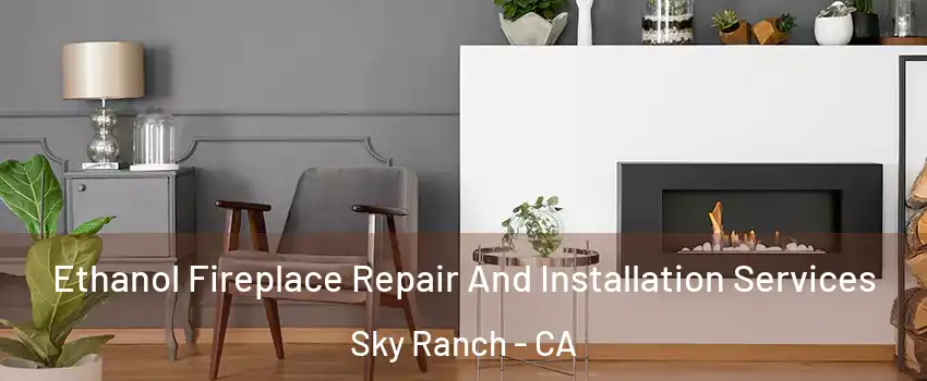 Ethanol Fireplace Repair And Installation Services Sky Ranch - CA