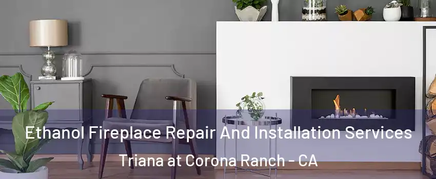Ethanol Fireplace Repair And Installation Services Triana at Corona Ranch - CA