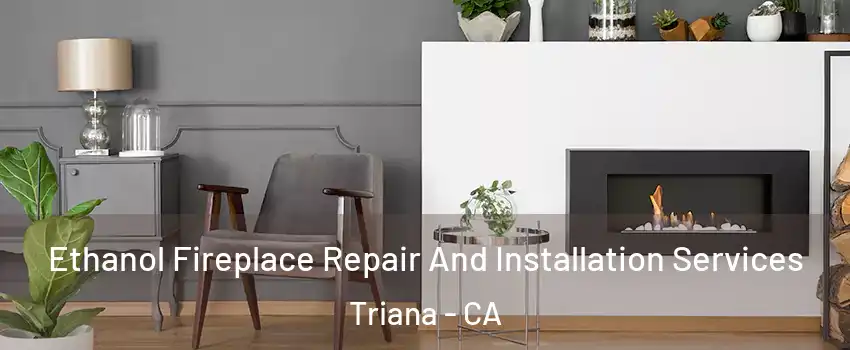 Ethanol Fireplace Repair And Installation Services Triana - CA