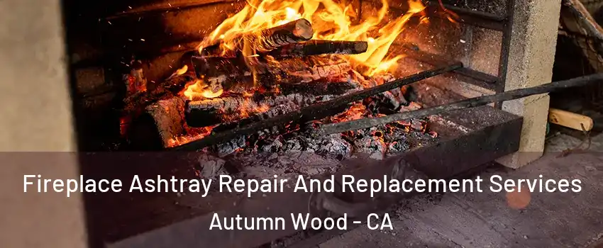 Fireplace Ashtray Repair And Replacement Services Autumn Wood - CA